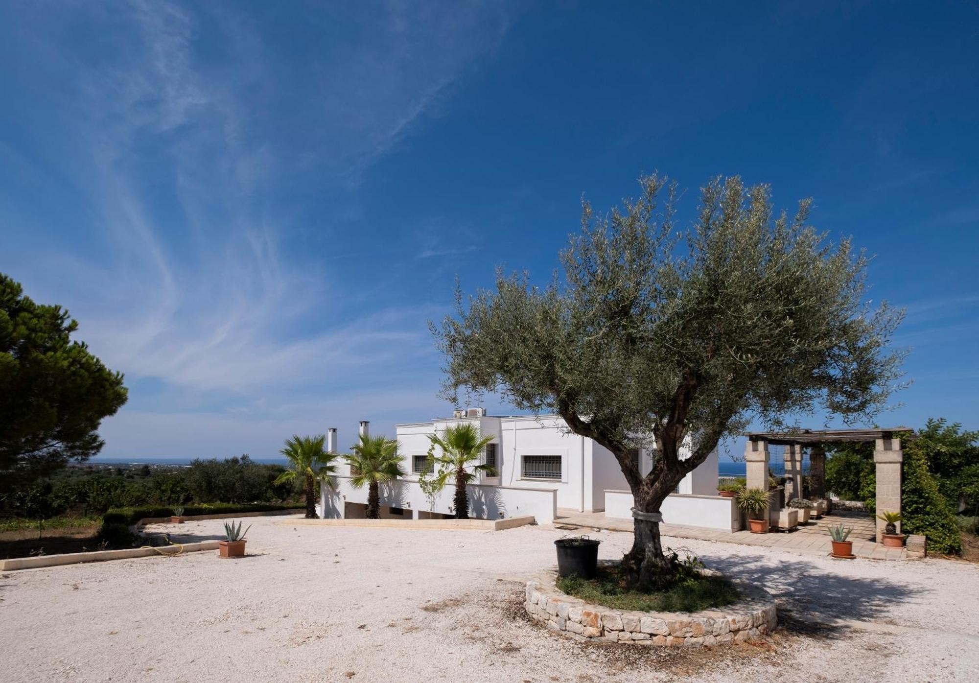 Villa Il Carrubo Polignano a Mare Exterior foto